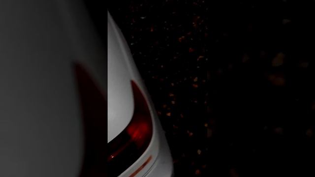 Тибетский спаниель смотреть онлайн