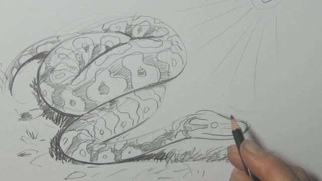 HOW TO DRAW A BALL PYTHON (intermediate level artist) смотреть онлайн