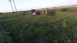 Кормим подсолнечник Карбамид+фунгицид