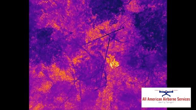 Woodall Deer Recovery Abbeville Alabama Autel Evo 2 640T Thermal imaging drone смотреть онлайн