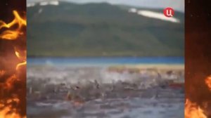 ЗАКОН О РЫБАЛКЕ 2019.ЦЕНА РЫБАЛКИ.Будем платить или нет.