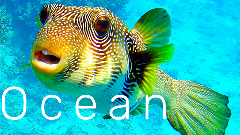 2.ОКЕАН - РЕЛАКС - МУЗЫКА ДЛЯ НАСТРОЕНИЯ! МЕДИТАЦИЯ и БОЖЕСТВЕННАЯ МУЗЫКА! смотреть онлайн