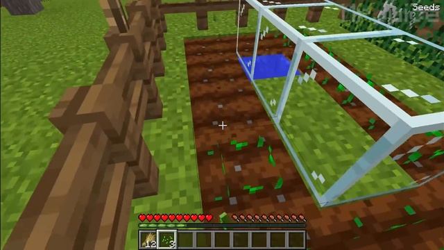I FOUND THE RAREST ENDERMAN in Minecraft ! WHICH ENDERMAN NEXT ??? смотреть онлайн