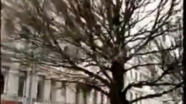 Бит Квартет “Секрет“   Домой 1989