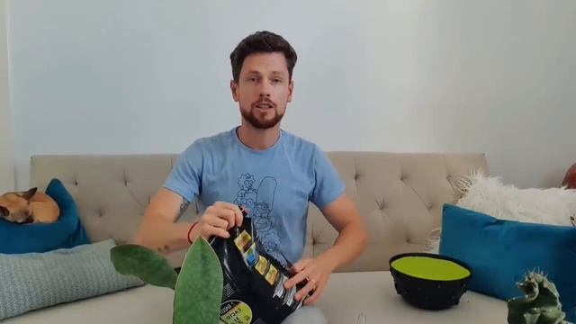 Разговорная пересадка."Какие растения не люблю??". смотреть онлайн