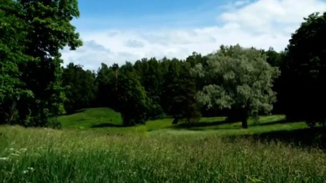 Павловск в июне