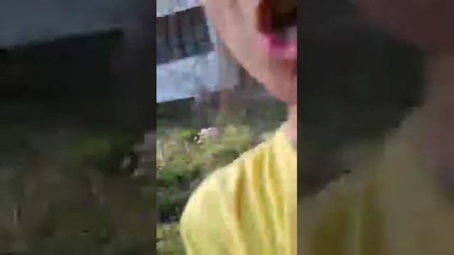 1 часть на даче .. Что белка ??!! смотреть онлайн