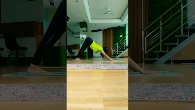 Cobra and mountain yoga flow (#bhujangasana and #mountainpose flow ) #yogapractice #backflexibilit смотреть онлайн