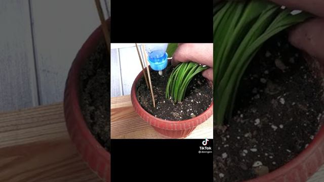 лайфхаки смотреть онлайн