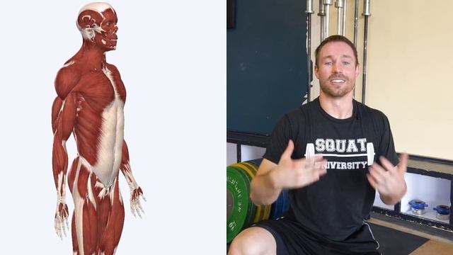 The 3 Best Core Exercises [Do These Every Day] смотреть онлайн