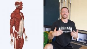 The 3 Best Core Exercises [Do These Every Day]