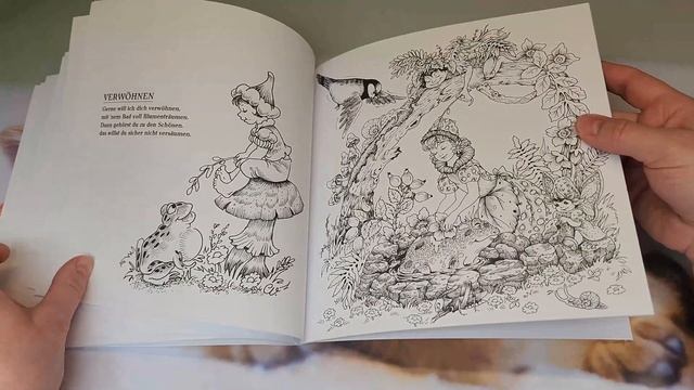 Обзор - Christl Vogls - Wald und Blütenlefen//Раскраски антистресс смотреть онлайн