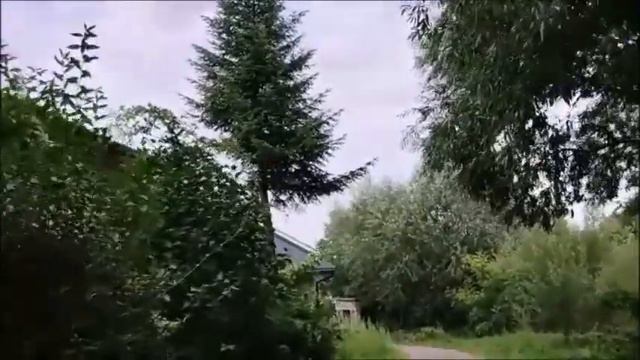 Сколько экзотики в провинциальном местечке День 314 Нужно чаще ВСЁ менять и никогда не поздно смотреть онлайн