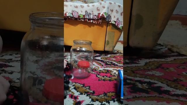 Идеи для декора! Делаем комнату красивой и уютной? смотреть онлайн