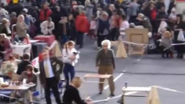 выставка собак Даугавпилс 19.01.2013.avi смотреть онлайн