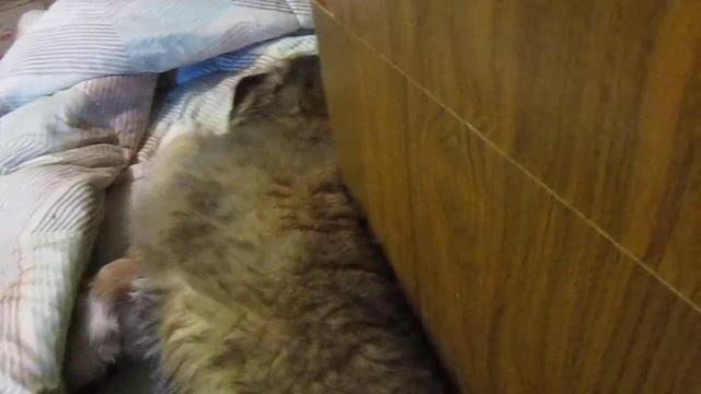 грей 2 месяца смотреть онлайн