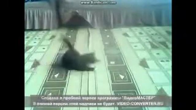 Копия видео "ВИДЕО-КОНКУРС(извините за плохое качество!)" смотреть онлайн