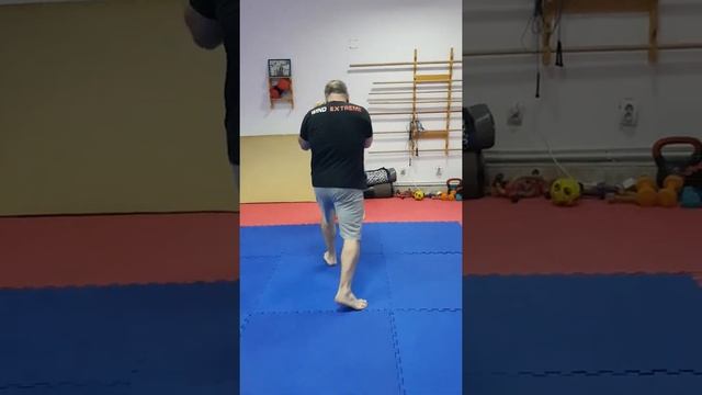 kyokushin karate KUDO kick-boxing смотреть онлайн