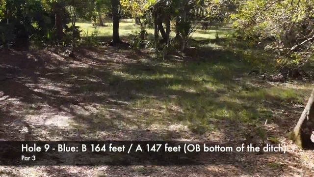 Gordy Recreation Area Disc Golf Course - Drone Overview: Blue pads смотреть онлайн
