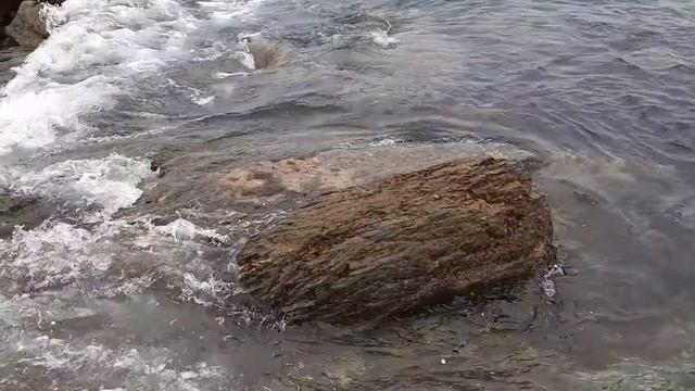 8ba6cf94-ca8a-47fa-8cde-05230dd4c39c-1_all_69185.mp4