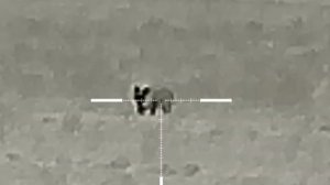 Охота на шакала с тепловизором