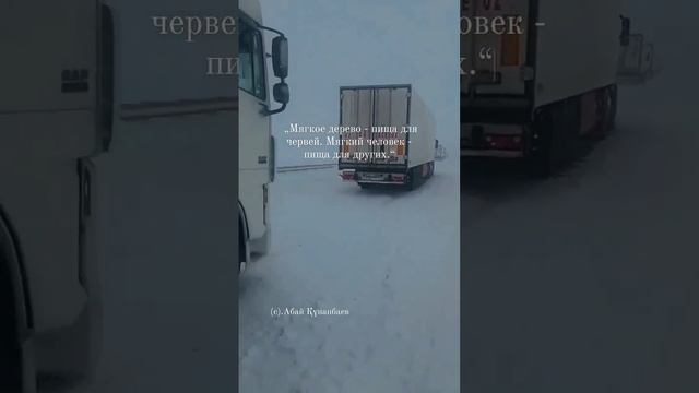 „Мягкое дерево - пища для червей.. смотреть онлайн