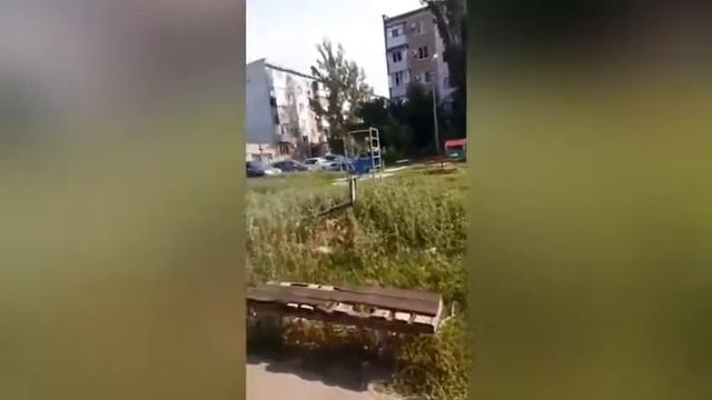Большой сухостой упал на детской площадке в Волжском: видео смотреть онлайн