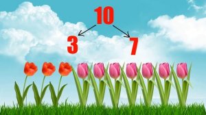 Состав Числа 10