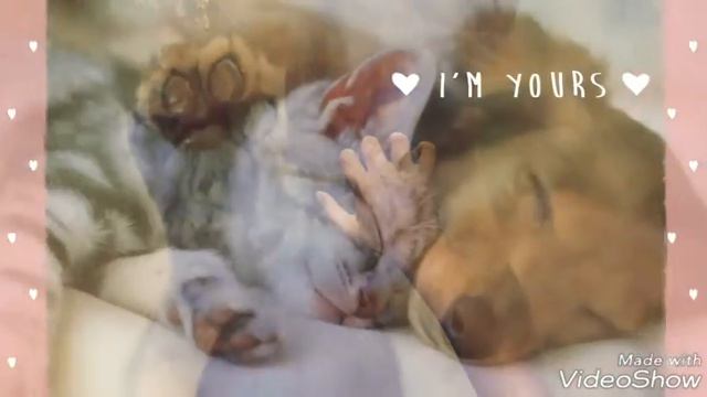 Любовь это сила! ❤ смотреть онлайн