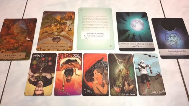 ? APA SIH, KEHEBATANMU!!? | ? Pilih Kartu ? смотреть онлайн