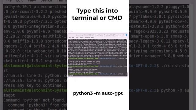 AutoGPT FIX - Auto-GPT Stuck on Thinking with Openai API Keys Configuration Message & Link? смотреть онлайн