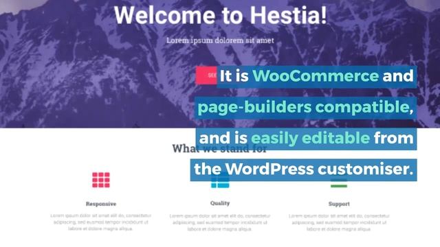 10 Most Popular WordPress Themes of 2020 смотреть онлайн