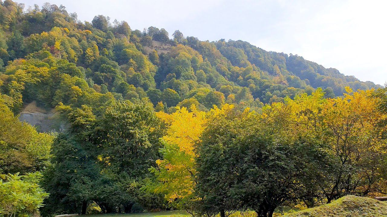 Nature Sounds and Autumn Landscapes in the Mountains of the North Caucasus смотреть онлайн