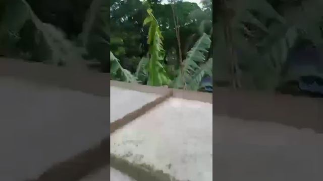 new sutiya balock follow koro https://www.facebook.com/profile.php?id=10009285146 смотреть онлайн
