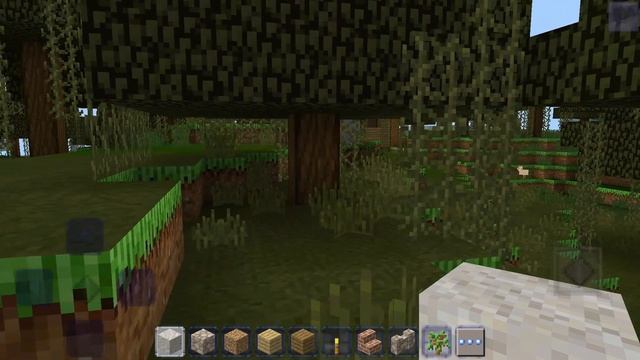 TOP 3 CURESED VILLAGE SEEDS In Craftsman: Building Craft