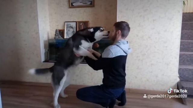 Встреча смотреть онлайн