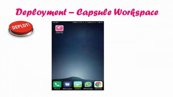 Capsule Workspace Introduction