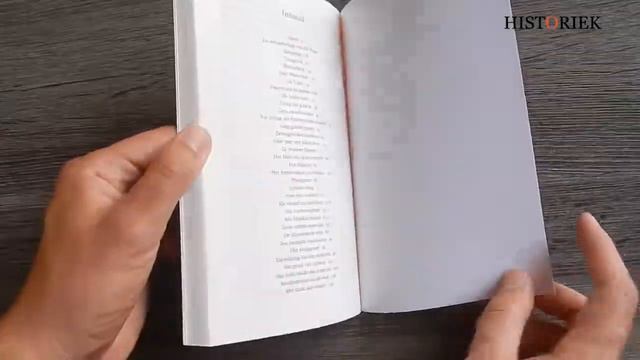 Het geluk van de brug - Het Amsterdam van Kees Fens смотреть онлайн