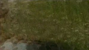 Искатели   Золото Змеиной горы. Тайны и Загадки Истории.