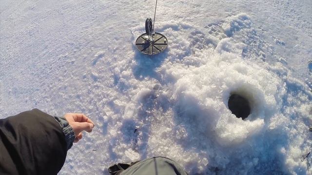 ОСТАВИЛ ЖЕРЛИЦЫ НА НОЧЬ — И ВОТ ЧТО ПРОИЗОШЛО! Щуки как с цепи сорвались! ЗИМНЯЯ РЫБАЛКА С НОЧЕВКОЙ смотреть онлайн