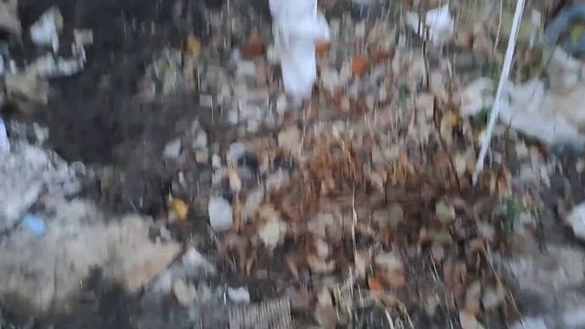 Внесение метаризина от хруща и др личинок.03.11.23.Сев Каз.Ч.616. смотреть онлайн