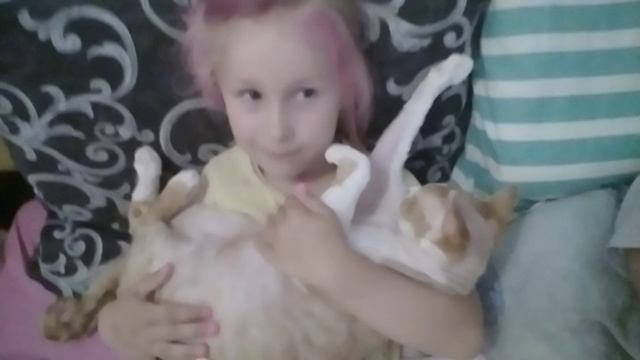 Видео от Софы смотреть онлайн