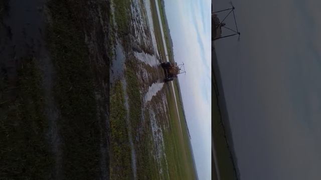 Роса грязи не боится смотреть онлайн