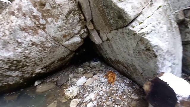 "Логово", река Хоста смотреть онлайн