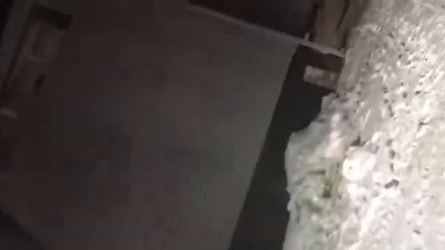 SVZF5829 смотреть онлайн