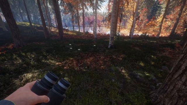 The Trains Are More Dangerous Than The Animals!! | theHunter: Call of the Wild - New England смотреть онлайн