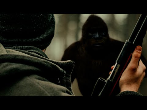 INCREDIBLE BIGFOOT ENCOUNTERS From Experienced Hunters
