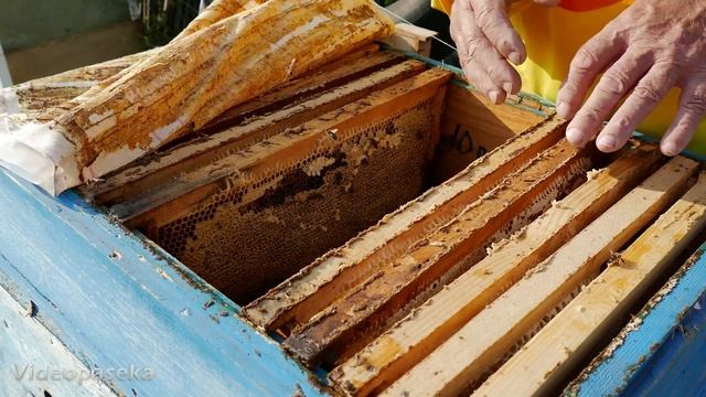 Готовим пасеку к зимовке смотреть онлайн