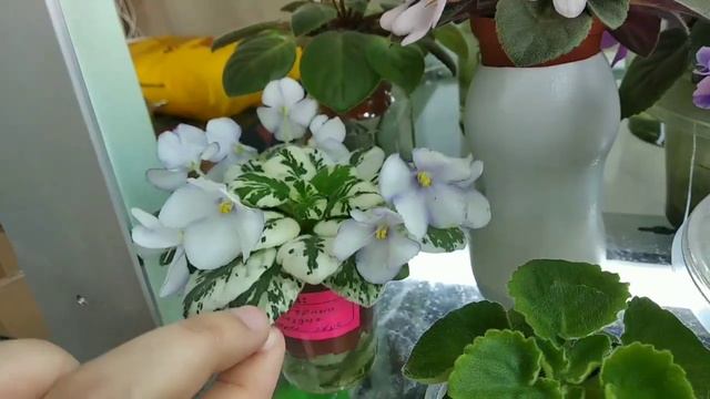 Мій стелаж станом на 21липня 2020року🤗 смотреть онлайн