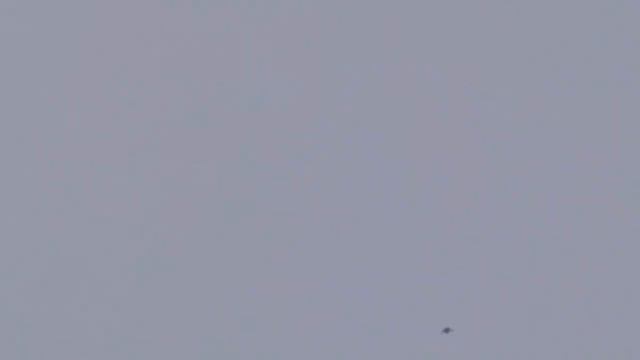 Будни Утро после Рождества 2022 01 08 11 47 10 смотреть онлайн